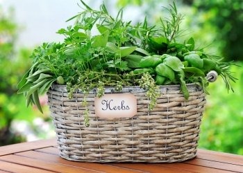 2020-04-basket-with-herbs-p-x-r8-d3-b.jpg