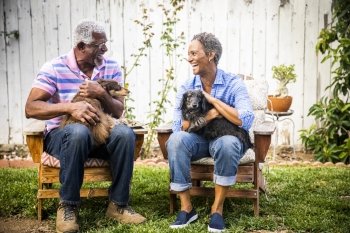 couple-dogs-procino-wells-woodland-delaware-and-maryland.jpg